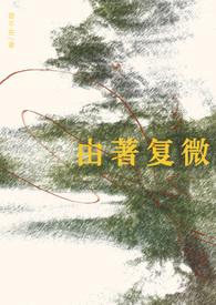 由著复微 乱佳音 百度
