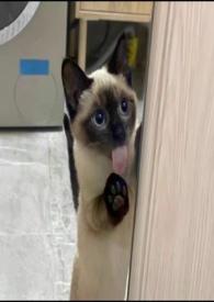 慢慢喜欢你百科