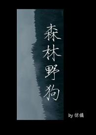 森林野狗的破案电视剧