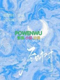 冬日树枝美在哪里