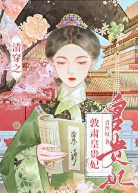 清穿之哲皇贵妃133