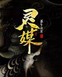 灵媒侦探城冢翡翠电视剧