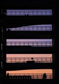 纯友谊什么意思