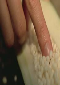 她和她的她 电视剧