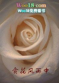 贪花风雨中第8章