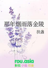 那年烟雨落金陵故事梗概