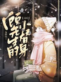 顾先生的小奶包