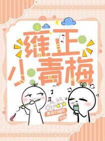 清穿雍正小老婆完整版