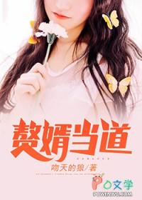 赘婿当道段羽