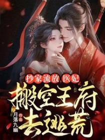 抄家流放医妃搬空王府去逃荒短剧免费观看