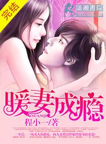 暖妻成瘾介绍