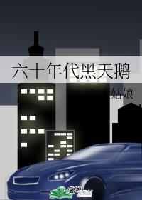 六十年代黑天鹅330