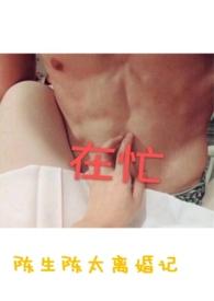 陈生陈太离婚记免费阅读