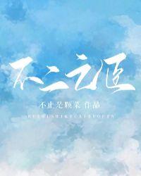 不二之臣女主人设