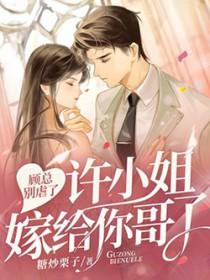 许小姐嫁给你哥了!完结了吗