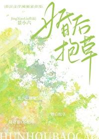 哎呀老婆是棵草景小六的背景故事情节分析