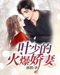 叶少宠妻如命全文