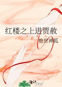 红楼之上进贾赦txt