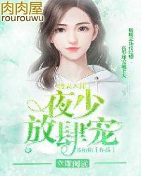 诱妻入怀夜少放肆宠全文阅读