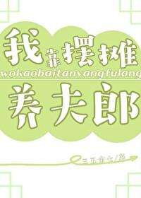 我靠摆摊致富全服