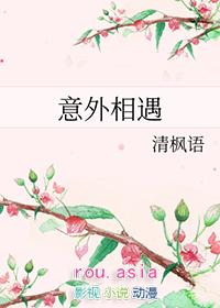 意外相遇全文免费阅读