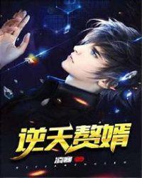 逆天赘婿当公主穿上龙袍