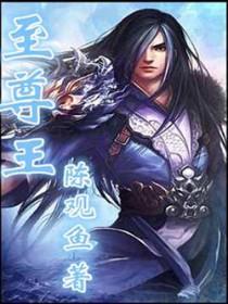 至尊王者多少钱