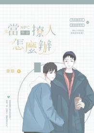 npc玩法