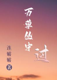 万草丛中一只猫免费阅读