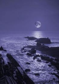 暗夜女主