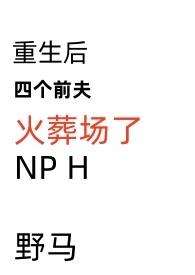 重生后四个前夫火葬场了NPH野马的其