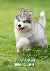 年下小奶狗闻琛