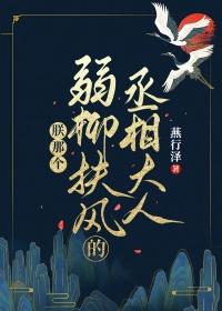 丞相大人弱柳扶风免费阅读