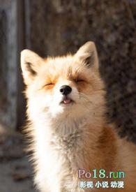 睡了反派男二之后(1v1)h