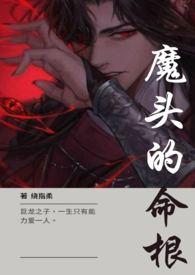 魔头的宠夫攻略法