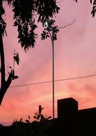 乖娇(1v3 兄妹 h)最新章节-乖