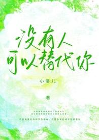 没有人可以代替我