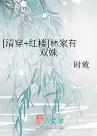清穿红楼之林家小妾