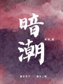 暗潮缉凶哪个台