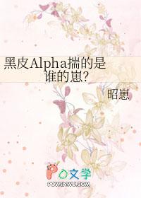 黑皮系列