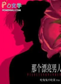 那个漂亮男人TXT