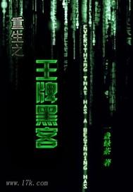 重生王牌黒客