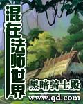 混在魔法都市当教师