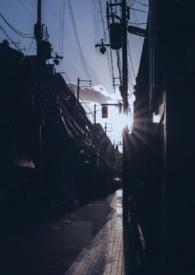 你是我的曙光书包网