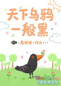 天下乌鸦一般黑1V2免费