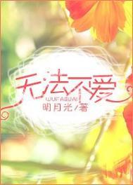 无法不爱弦弄讲什么