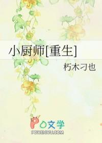 我要看小厨师