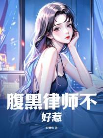 腹黑律师太危险全文