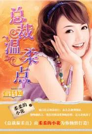 温柔的总裁文