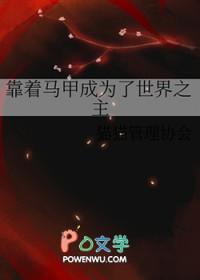 靠着马甲成为了世界之主无删减